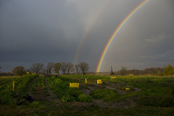 There will be no vegetable sales at The Tree Farm in 2024.