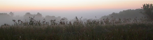 View from The Tree Farm on a Foggy Morning